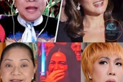 When Communication Fails and Perception Takes Over: A Deep Dive into the Cristy Fermin and Bea Alonzo Media Rift Involving the Vice’s Alleged Misstep (NH)