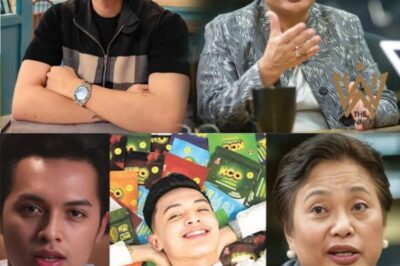 Josh Mojica Breaks Silence: Firm Denial of Billionaire Status and Response to Guanzon’s Investigation Raises Questions About Transparency and Public Perception (NH)