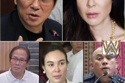 ILBO Unveils Major Allegations Against Atong Ang, Gretchen Barretto, Ex-NCRPO Chief Estomo, and Others (NH)