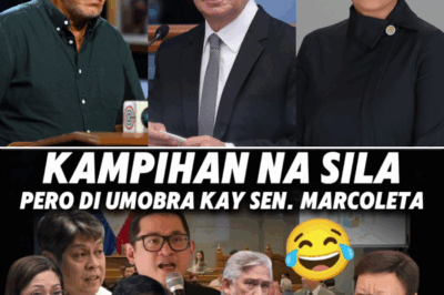 Explosive Fallout in the Senate: Sotto Shocked as 19 Senators Allegedly Betray Him in Secret Power Deal Unfolding Now