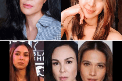 Gretchen Barretto, Matinding Pasaring kay Julia Barretto: “Huminto sa Pag-gamit sa Apelyidong Barretto para sa Publicity”