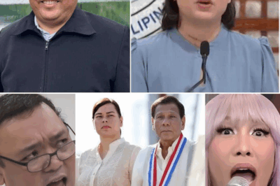 Harry Roque Slams Vice Ganda After FPRRD Joke at Concert Sparks Outrage