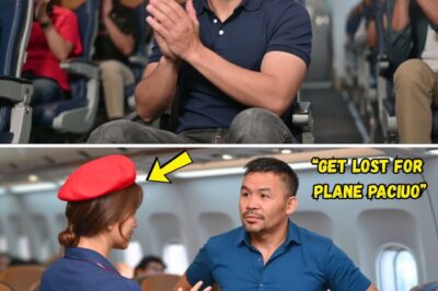 She Told Him to Step Aside from First Class – Moments Later, the Entire Plane Learned the Shocking Truth About the Quiet Man in a Hoodie