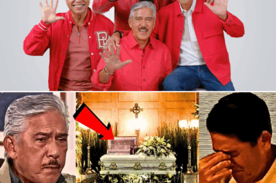 Biglaang Pamamaalam ng Matalik na Kaibigan ng Sotto Brothers, Nagpaluha sa Marami