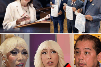 Vice Ganda Sparks Online Firestorm After Deleting Post About Corruption—What Really Went Down?