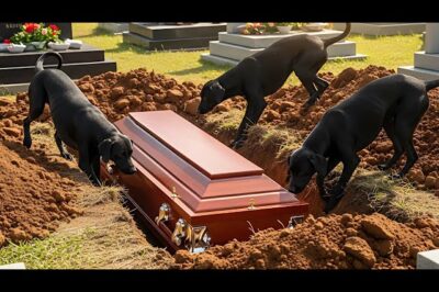 Mga Aso ang Humukay sa Libingan Nang Buksan ang Kabaong, Lahat ay Napasigaw sa Takot