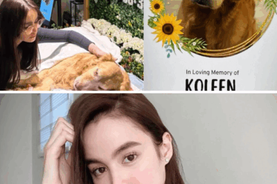 💔Kim Domingo mourns beloved pet dog Mommy Koleen, sharing tearful farewell and heartfelt memories, leaving fans emotional and empathetic.🐾
