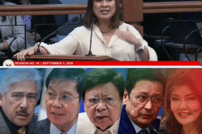 Philippine Senate mixes seasoned veterans and young lawmakers—who leads, who struggles, and how will age shape the nation’s future?