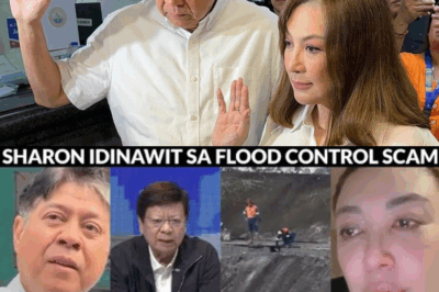 Sharon Cuneta, idinawit sa scam ng flood control project; Sen. Kiko Pangilinan, hinamon ang Net25