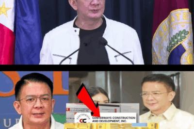 Chiz Escudero, apektado sa isyu ng P30 milyon na natanggap mula sa isang construction company—maaari bang makulong ang senador?