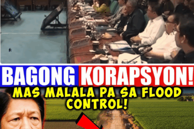 Nabisto sa Senado: P6.3 Bilyong Pondo ng Bayan, Inubos sa “Farm-to-Pocket Roads”! Mas Malala Pa sa Flood Control, Mga Opisyal, May Kanya-kanyang Taktika Para Takpan ang Katotohanan.