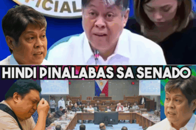 ISKANDALO NG P68M FROZEN MACKEREL SMUGGLING: Sino si ‘Mr. Carlos’ at Bakit Ikinulong ang mga Broker?