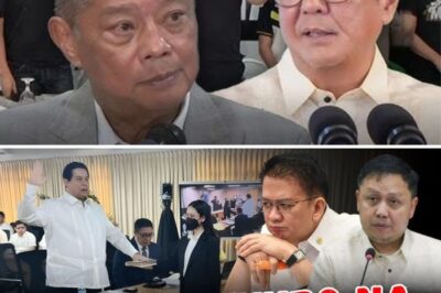 PBBM Unleashed: President Marcos’s Furious Stance Against Poverty Ignites Multi-Billion Dollar Quest for Energy Independence, Silencing Critics and Sparking Hope Across the Nation