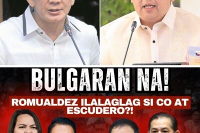 The Great Unveiling: Martin Romualdez Faces the ICI, Unleashing a Political Firestorm and Potentially Exposing Hidden Truths Behind Chiz Escudero and Zaldy Co in Multi-Billion Peso Corruption Scandal