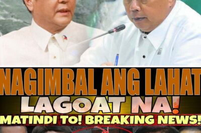 ABSOLUTELY SHOCKING! HORRIFYING! JUST IN! BREAKING NEWS! THE WORLD IS STUNNED!? Watch Until the End for the EARTH-SHATTERING TRUTH Behind the Promises and Hidden Facts!