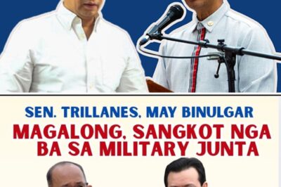 The Plot Thickens: Senator Trillanes Drops a Political Earthquake, Naming the Respected Mayor Allegedly Tapped to Head a Shadow Power Transition Council