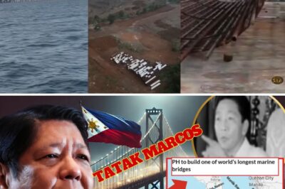 THE MONUMENTAL SHOCKWAVE: IS PRESIDENT MARCOS JR.’S $3.4 BILLION ‘DAMBUHALANG PROYEKTO’ BRIDGE FINALLY DEPLOYING THE ELUSIVE, LEGENDARY FAMILY FORTUNE FOR THE WORLD’S GAZE?