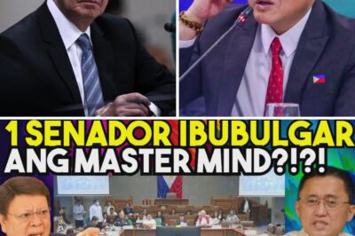 THE MASTERMIND WHISPER: IS A BILLION-PESO FLOOD CONTROL SCANDAL ABOUT TO EXPOSE THE NATION’S MOST POWERFUL FIGURES, AS A SENATOR CRIES “DEFAMATION” AND A CONGRESSMAN RECEIVES A SHOCKING LIVE CONFESSION FROM A MYSTERIOUS DPWH INSIDER?