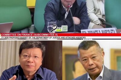 A Staggering Legal Catastrophe: Did the Justice Chief’s Secret Maneuver to Hand Over a Former Leader Trigger an Impeachment Crisis That Could Topple His Career?