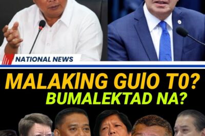 A Nation Shaken to Its Core? Bombshell Political Scandal Alleges Massive Cover-Up by Top Officials Just as Military Chief’s Shocking Missile Threat Ignites Vicious Attack from Rep. Duterte.