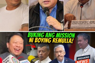 Isang Malaking Rebelasyon ang Umuugong Ngayon! Ang Tunay na Dahilan sa Likod ng mga Kilos ni Justice Secretary Boying, Inilantad na ng Isang Kilalang Abogado na May Kaugnayan Mismo kay Pangulong Marcos!
