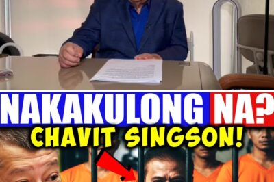 The Walls Are Closing In: Explosive New Allegations of Massive Land Corruption and Illegal Coastal Privatization Threaten to Topple Political Kingpin Chavit Singson