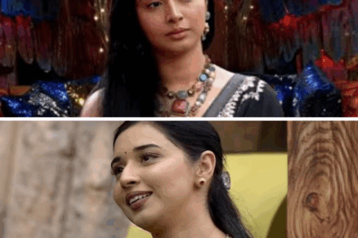 Bigg Boss 19 Scandal: Tanya Mittal breaks down after shocking expose, pleads in confession room