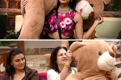 Bigg Boss 19 : Teddy and Tanya’s Shocking Breakdown Captured on Camera