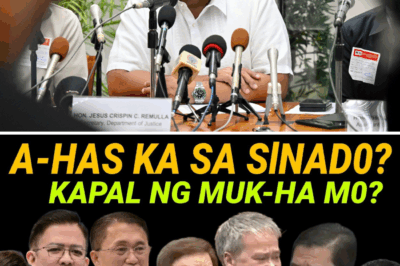 Ombudsman Boying Remulla’s “Law-Bending” Admission Triggers Crisis of Trust