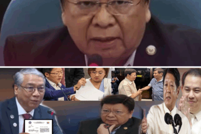 Senator Grills DOJ: ‘You Are Imagining a Law That Is Not There’