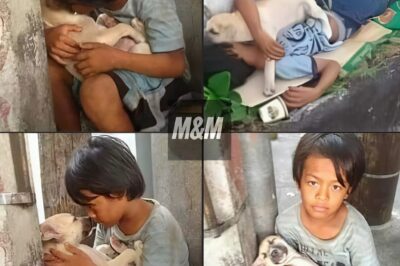 Batang Iniwan ng Pamilya, Nakahanap ng Tunay na Pamilya sa Kanyang Aso
