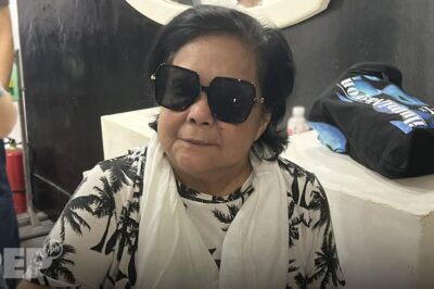 Nagulat ang mga fans nang ibunyag ni Nora Aunor ang mga pagkakakilanlan ng mga taong sumira sa kanyang buhay…