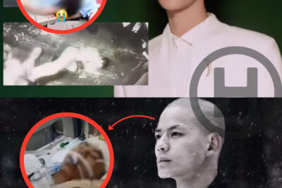 Mystery Behind Monk Thu Phong’s Passing and Yu Menglong’s Fall: Are the Authorities Orchestrating a Shadow Plan? (NH)