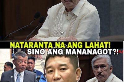 How does a high-profile Senate witness just disappear? Orly Godesa was personally brought to the Blue Ribbon Committee hearing by Senator Marcoleta, shocking everyone. After his testimony, he vanished.