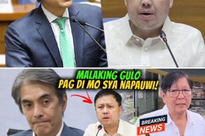 Imagine delivering over one billion pesos in cash, packed into more than 20 suitcases, to a politician’s penthouse. This is the stunning testimony rocking the nation, aimed at former appropriations chair Zaldy Co