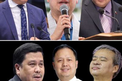 Hindi na natapos! Muling nasasangkot sa panibagong kontrobersya sina Senators Joel Villanueva at Jingoy Estrada. Kasama ang iba pa, kinasuhan sila sa Ombudsman dahil sa umano’y kickback sa flood control.