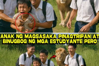 El Niño que Lloraba en Silencio: La Increíble Historia de Elmer, su Amigo León, y la Batalla contra un Mundo Cruel.