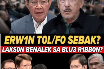 JUSKO PO! Isang Malaking Eksena sa Blue Ribbon Committee – May Sumabog na Katotohanan na Hindi Dapat Lumabas?!