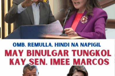 OMBUDSMAN REMULLA, HINDI NA NAPIGIL — ANG REVELASYON NA YUMANIG SA SENADO!