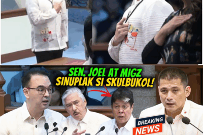 MAINIT SA SENADO: Ang Labanan ni Sen. Robin Padilla, ang Hamon kay Koko Pimentel, at ang Mga Dokumentong Nagpaigting ng Sigalot