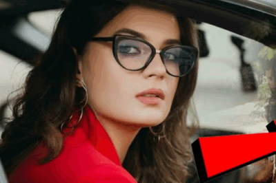 Ang Milyonarya at ang Scavenger