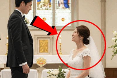 BINATANG MANGINGISDA PINAKASALAN ANG DALAGANG PILAY, SA ARAW NG KASAL AY BIGLANG TUMAYO ANG DALAGA!