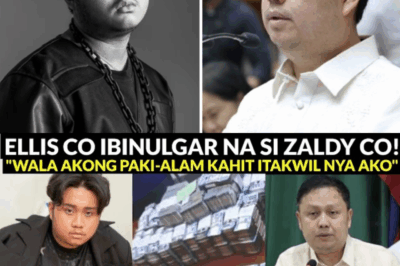 NAKAKAGULAT NA REBELASYON! ELLIS CO BINISTO ANG SARILING AMA — ZALDY CO, IDINAWIT SA MULTI-MILYONG FLOOD CONTROL PROJECT SCAM!