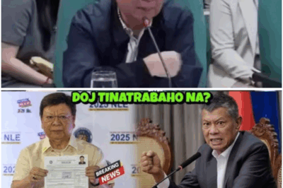 JUST NOW! Kumpirmado na raw? Marcoleta Itinalaga umanong Bagong Ombudsman! DOJ, Nagkakagulo—Boying Remulla, Sebak na nga ba?