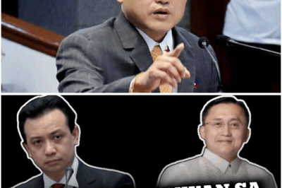 Allegasyon sa Yaman ni Sen. Bong Go, Umalab Muli Matapos Banat ni Trillanes