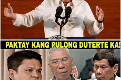 Gen. Torre, Hindi Na Nakapagpigil! Matapang na Mensahe Ibinulalas Laban kay Cong. Paolo Duterte — “Panahon na para magsalita ng totoo!”