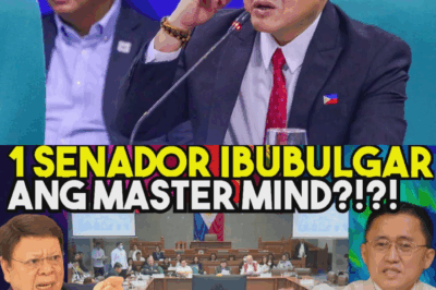 GRABE NA TO! ISANG SENADOR, IBUBULGAR NA RAW ANG MASTERMIND SA FLOOD CONTROL PROJECTS NA UMABOT SA BILYONG PISO—SINO ANG NASA LIKOD NITO?