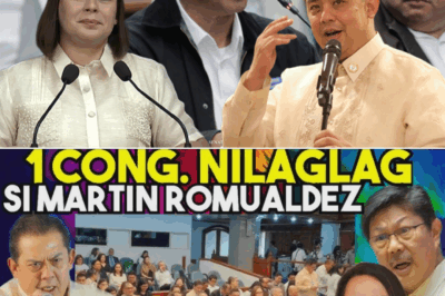 Tahimik na Giyera sa Gobyerno: Mga Bagyong Pahayag, Matitinding Banat, at ang Tunay na Tanong—Sino ang Pinoprotektahan?