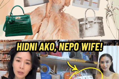 Heart Evangelista, Nepo Wife Nga Ba? Totoo Bang Galing sa Pulitika ang Kayamanan Nila ni Chiz?