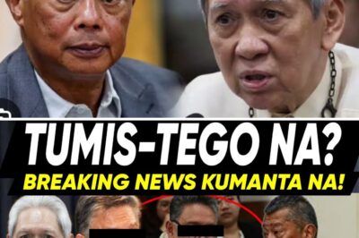 The SC Justice Intervention: Explosive Revelation that Former Ombudsman Samuel Martires Survived an Assassination Attempt, Silencing Critics Attacking His Judicial Integrity